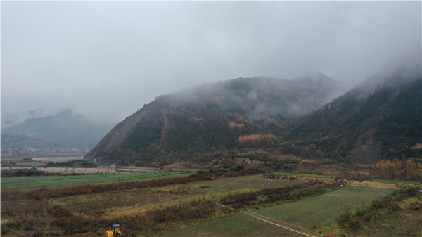 1747099736379386.png 01.png