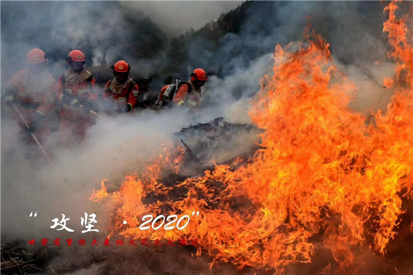 1747099791853042.png 03.png