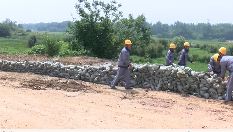 1747100444298812.png 04.png