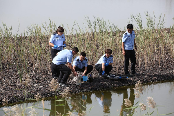 1747101372538809.png d78dc33236461c5894e93e53f190109d9574b05f.png